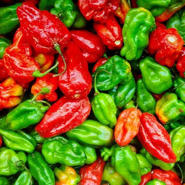 Aji Dulce Pepper Seeds - The Pepper Pantry (Formerly Marie Sharp's)